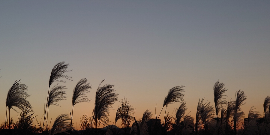 夕暮れに河原を歩く