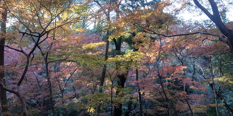 １年があっという間に