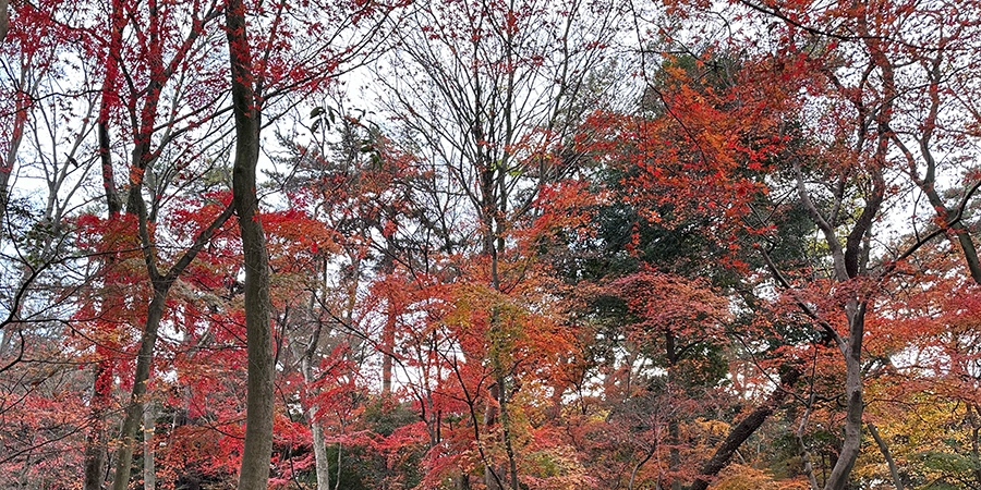 人の行ふべきかぎりをば行ふが人の道