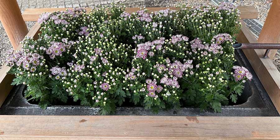 憑き物が落ちる