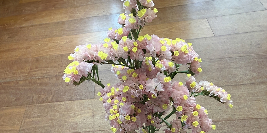 永久不変の花と、年を越した赤い水牛