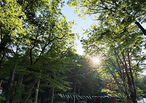 20260505-5.jpg