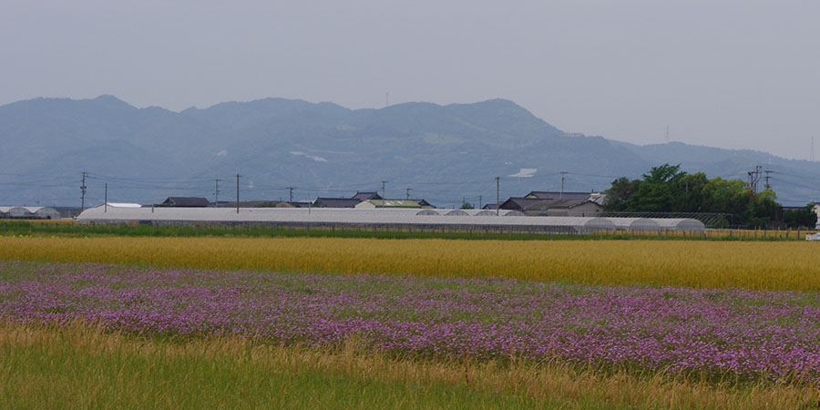 熊本へ 今できることを