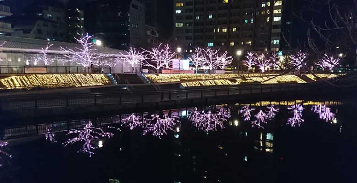 目黒川のイルミネーションと紅葉