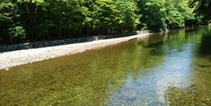 御手洗場の水