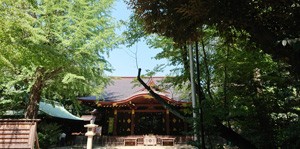 渋谷氷川神社