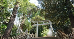 氷川神社